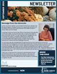 Newsletter September 2026